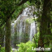 Kauai Waterfall